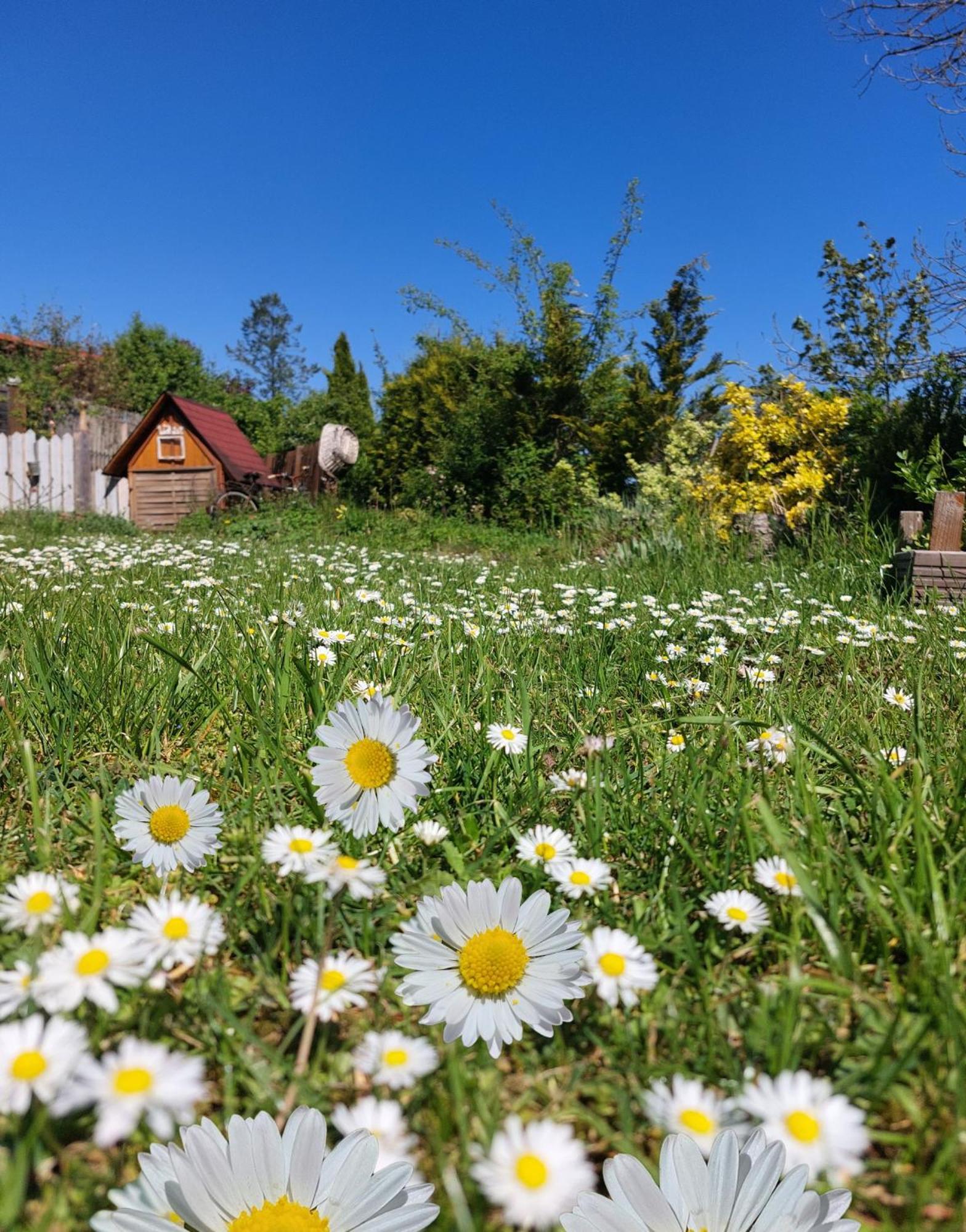 Ferienhaus Nr 2 - Das Kleine Haus Im Haus Heiligenstadt in Oberfranken Luaran gambar
